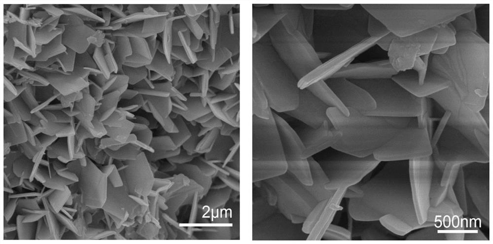 An ultrathin single crystal zn  <sub>3</sub> (oh)  <sub>4</sub> (no  <sub>3</sub> )  <sub>2</sub> Structured hydroxyzinc nitrate nanosheets and preparation method thereof