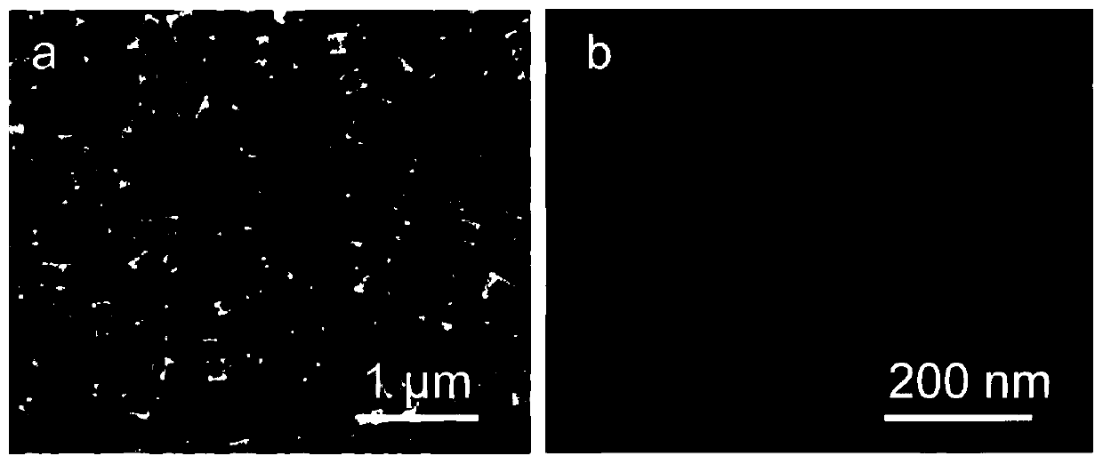 Fully compliant potassium ion battery capable of being charged and discharged as well as preparation method and application thereof