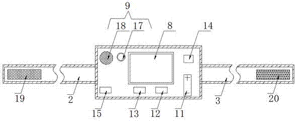 Cattle and sheep body temperature detector for cattle and sheep raising