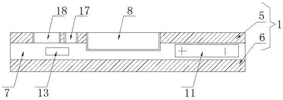 Cattle and sheep body temperature detector for cattle and sheep raising