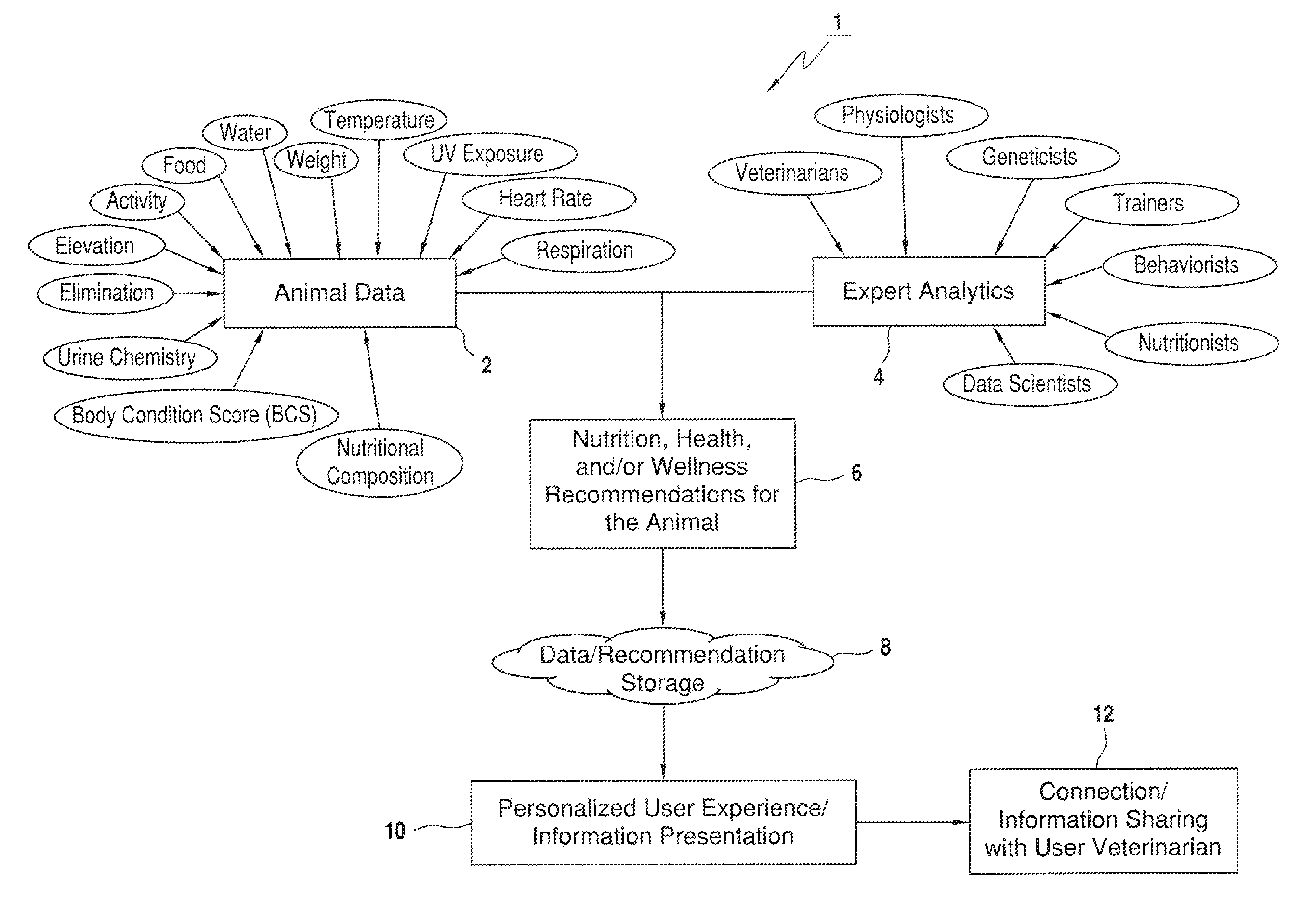 Systems and methods for providing animal health, nutrition, and/or wellness recommendations