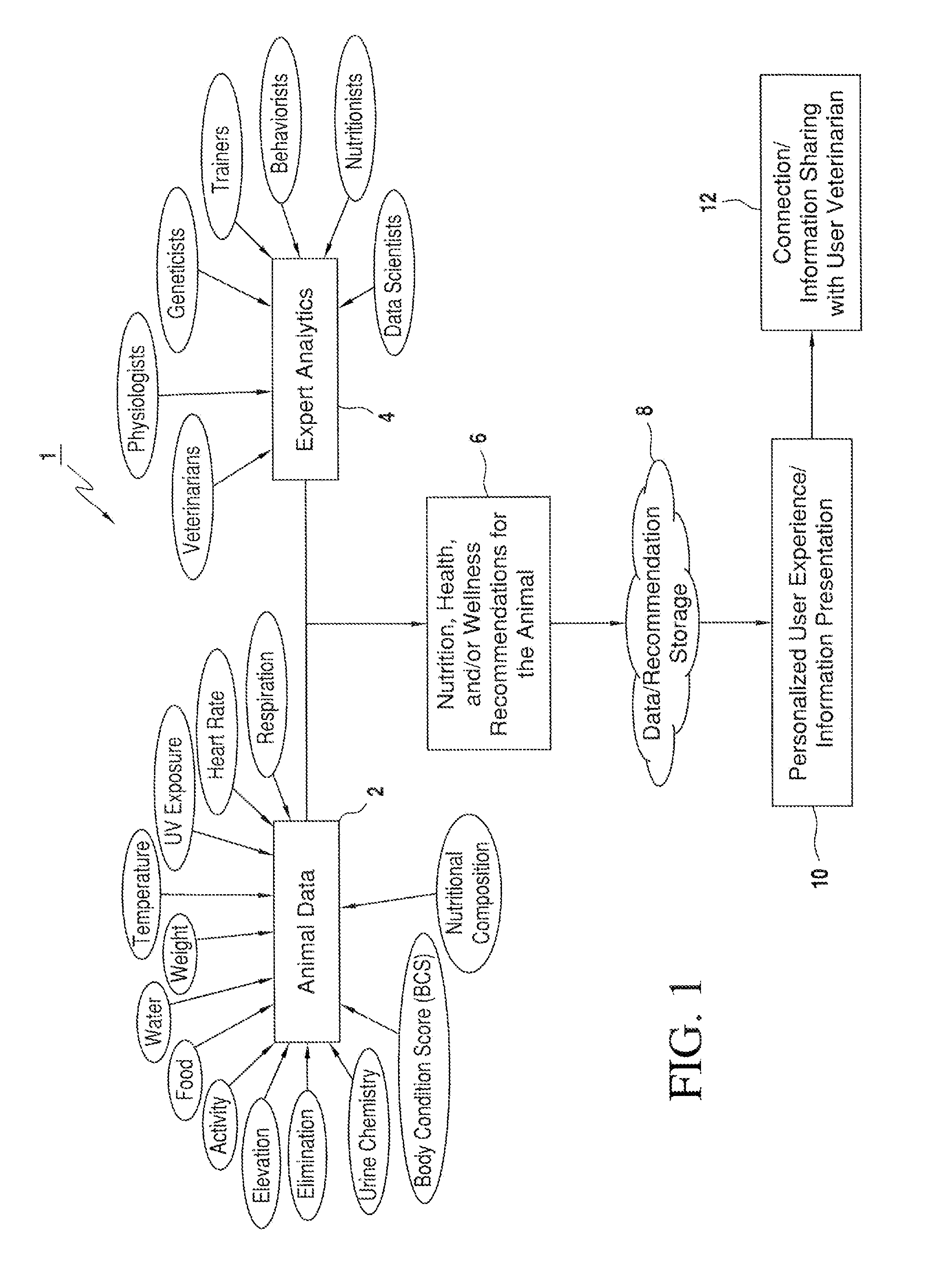 Systems and methods for providing animal health, nutrition, and/or wellness recommendations