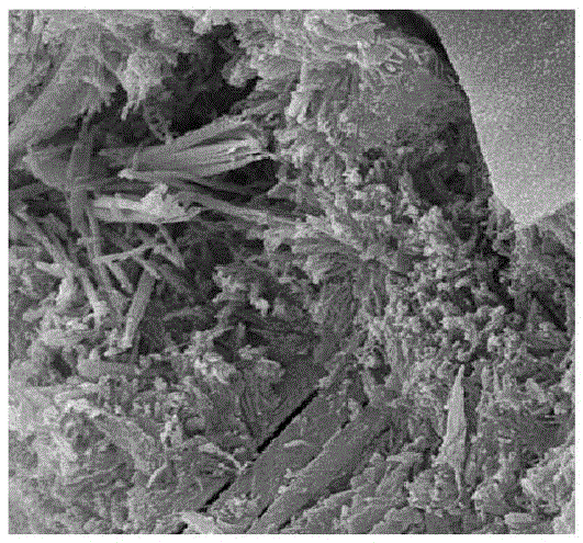 A low porosity high frost resistance gelling agent and preparation method thereof