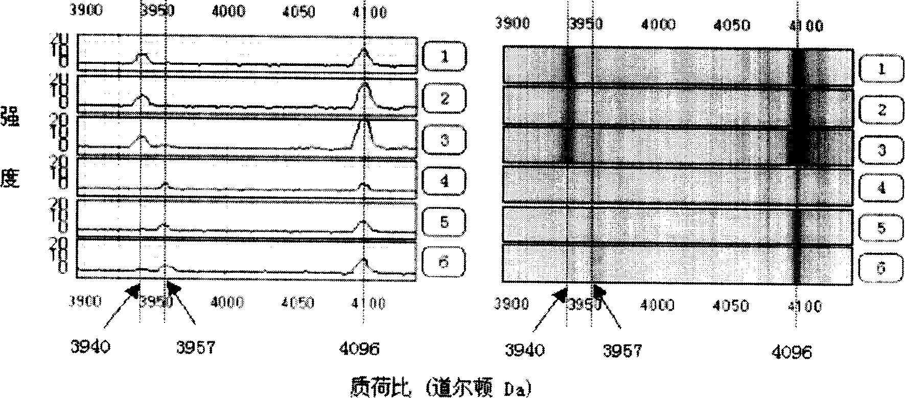 Method for early detecting gastric cancer from blood serum