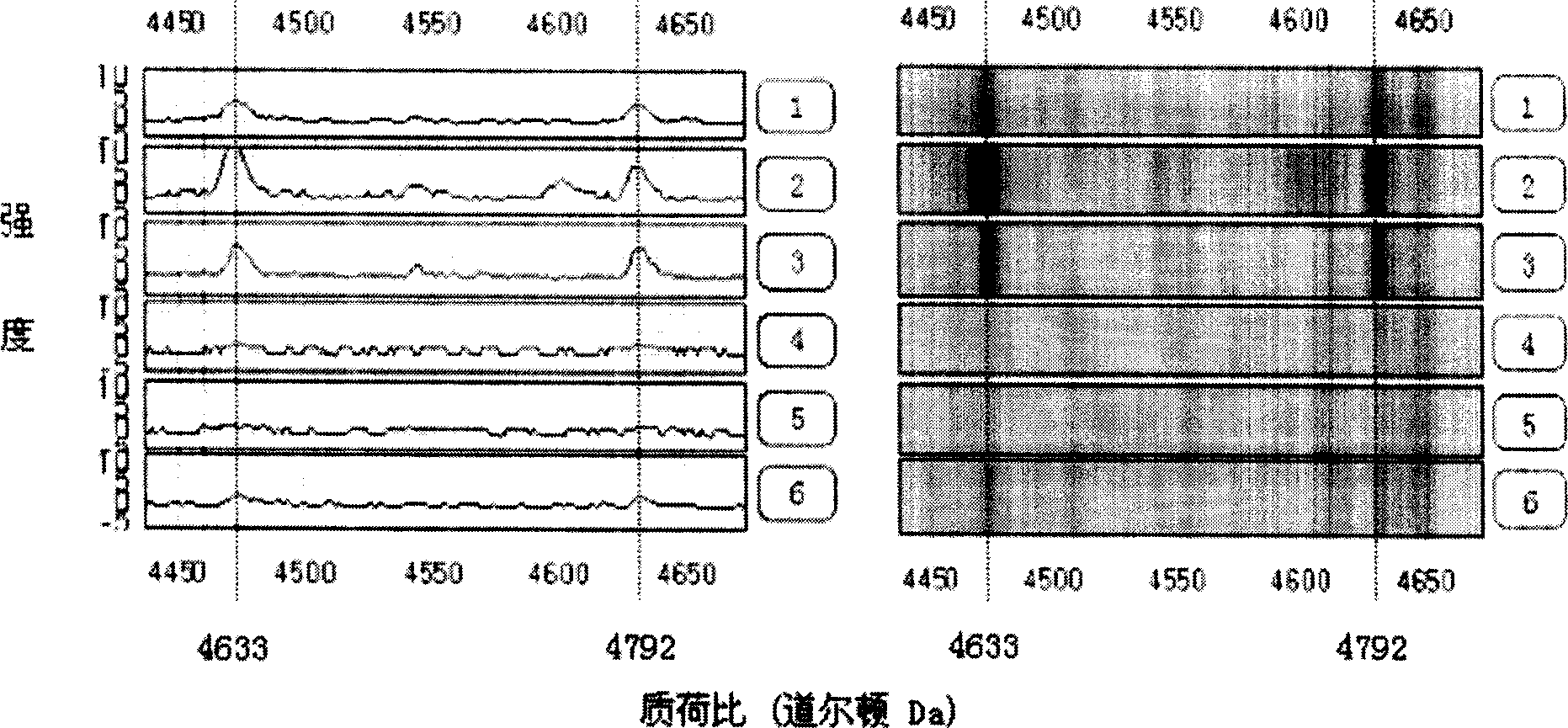 Method for early detecting gastric cancer from blood serum