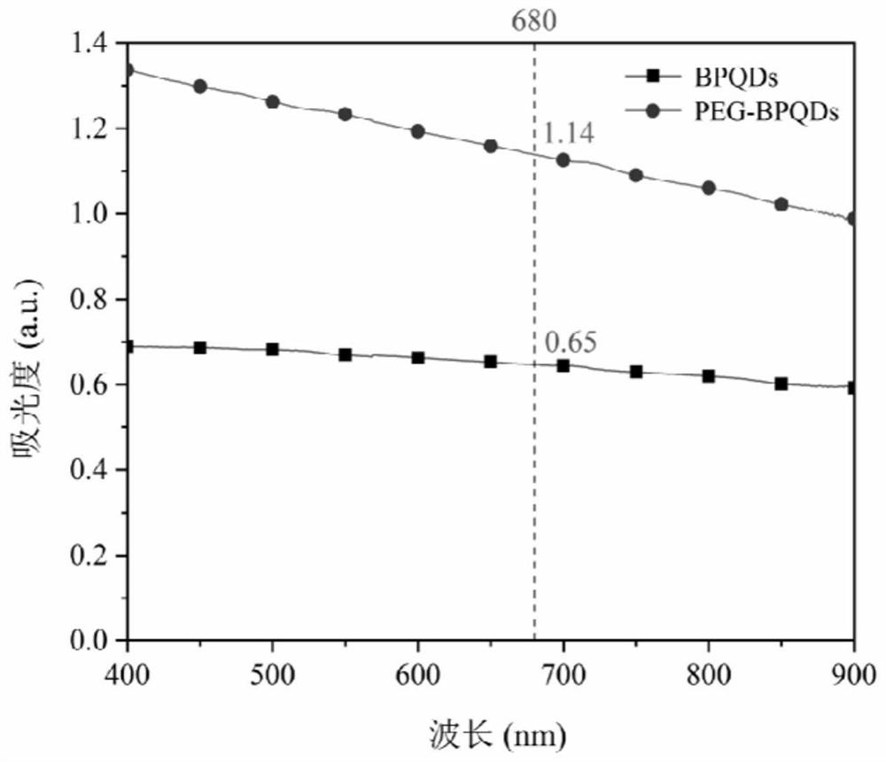 Application of PEG-modified black phosphorus quantum dots in evaluation of drug-induced acute kidney injury