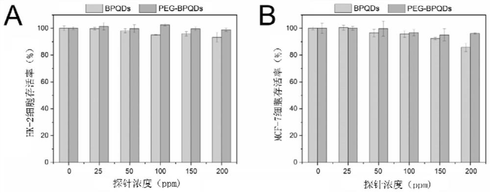 Application of PEG-modified black phosphorus quantum dots in evaluation of drug-induced acute kidney injury