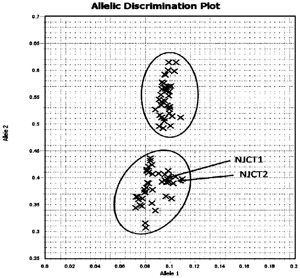 Molecular marker primer composition for identifying freestone trait of prunus persica fruits and application of molecular marker primer composition