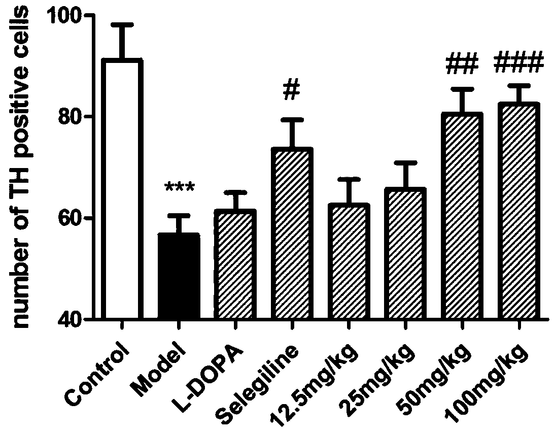 Application of saffron pigment composition in preparation of medicines for treating Parkinson's disease