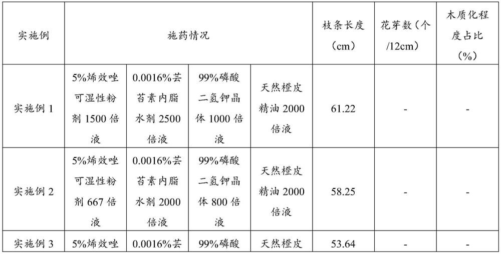 Green prickleyash tip control treatment agent and shoot control treatment method