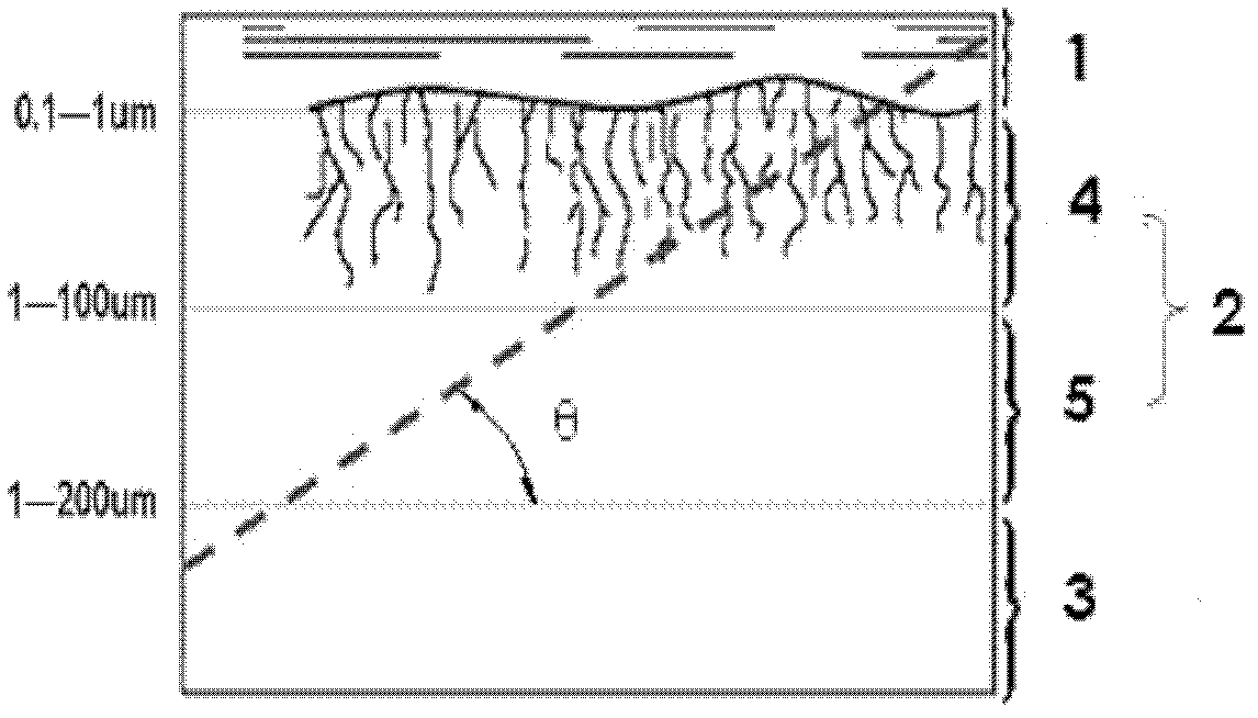 Holographic inversion detection method for micro-cracks on damaged layer of subsurface of brittle material