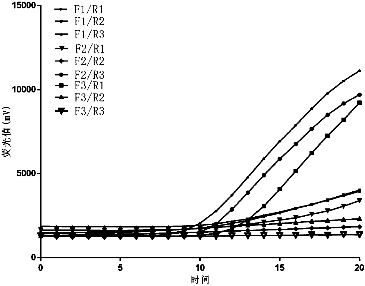 Primer for rapidly detecting respiratory tract adenoviruses based on RAA fluorescent method, probe and detection kit