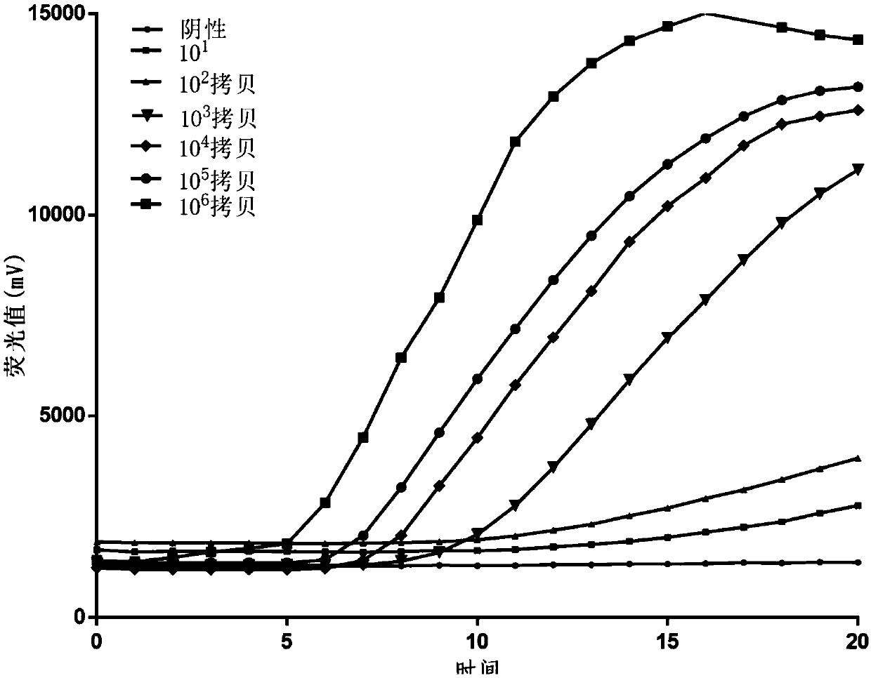 Primer for rapidly detecting respiratory tract adenoviruses based on RAA fluorescent method, probe and detection kit