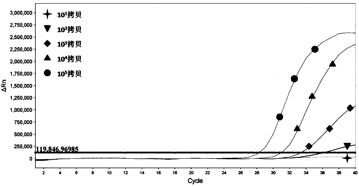 Primer for rapidly detecting respiratory tract adenoviruses based on RAA fluorescent method, probe and detection kit