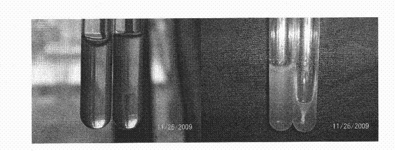 A method for isolation and screening of protease-producing oligotrophic bacteria