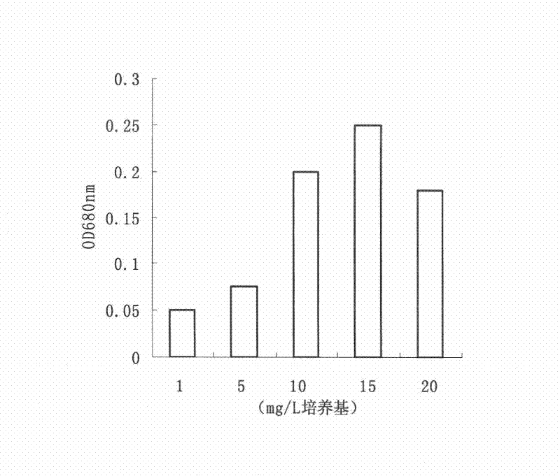 A method for isolation and screening of protease-producing oligotrophic bacteria