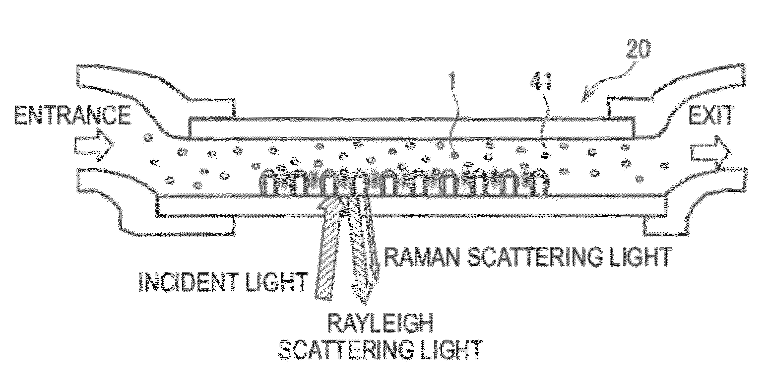 Detection device