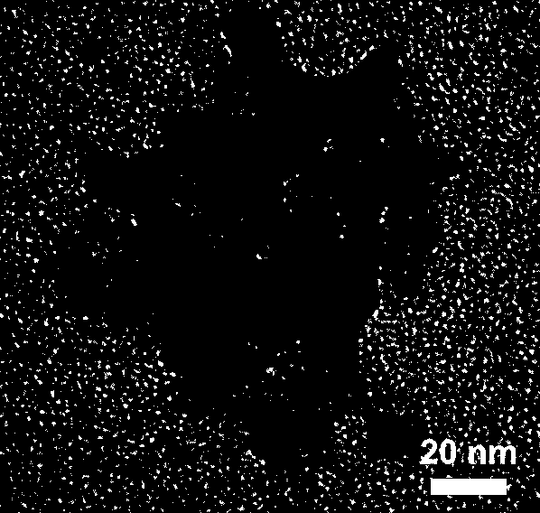 Hydrothermal synthesis method of monoclinic phase vanadium dioxide nano-powder