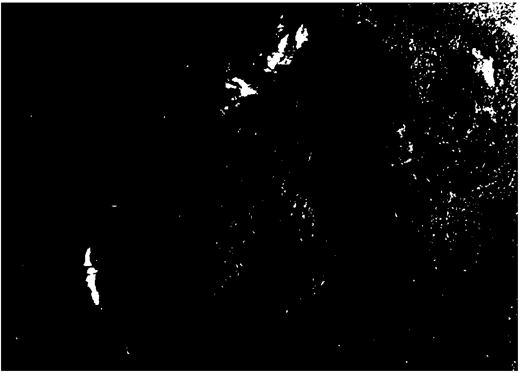 Aqueous titanium ingot high-temperature-resistant oxygen-absorbing coating material, applications thereof and production method of titanium ingot