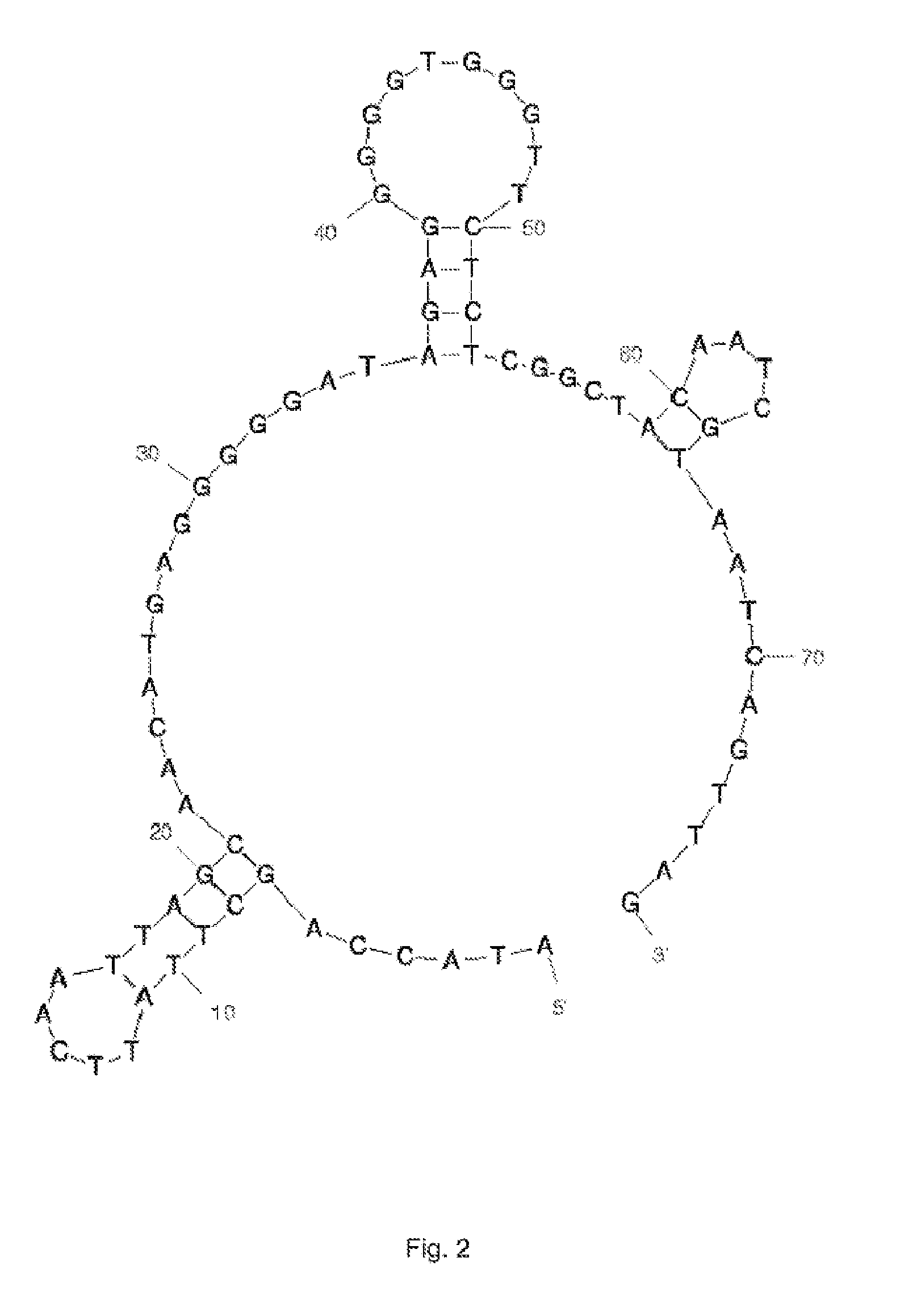 Aptamers that are specific for immunoglobulin-binding cell wall proteins