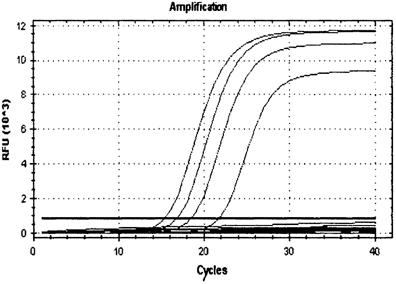 PCR (Polymerase Chain Reaction) method and kit for quickly detecting Enterobacter sakazakii in baby formula