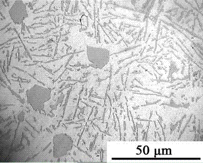 Al-Si-Nd rare-earth cast aluminum alloy and preparation method thereof