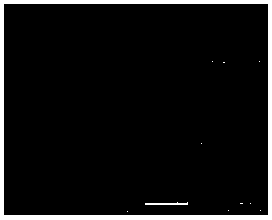 A kind of hollow microsphere molecular sieve and its preparation method and its application in methanol to aromatics