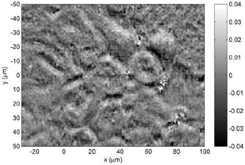 A phase microscopy imaging device and method based on structured light illumination