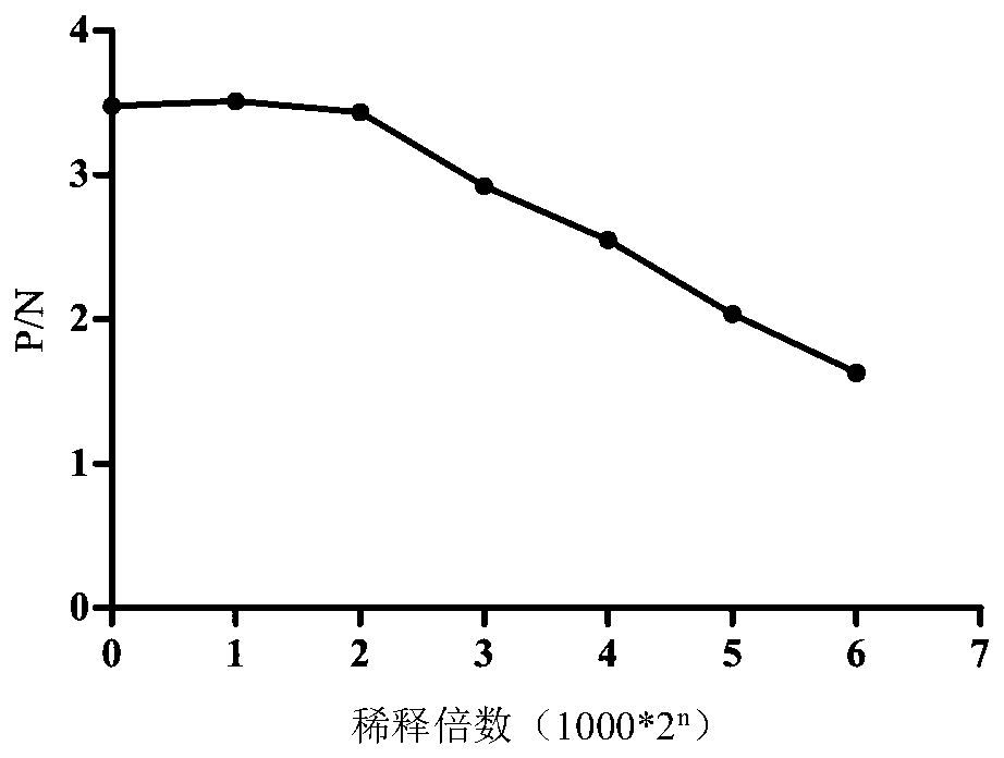 Immune-colloidal gold test strip for detecting adulterant cow milk in camel milk and application thereof