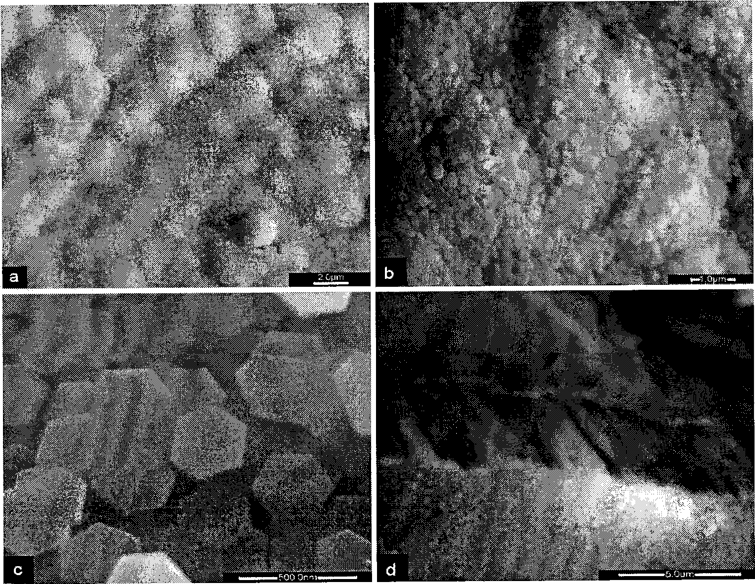 Method for preparing dental prosthetic material