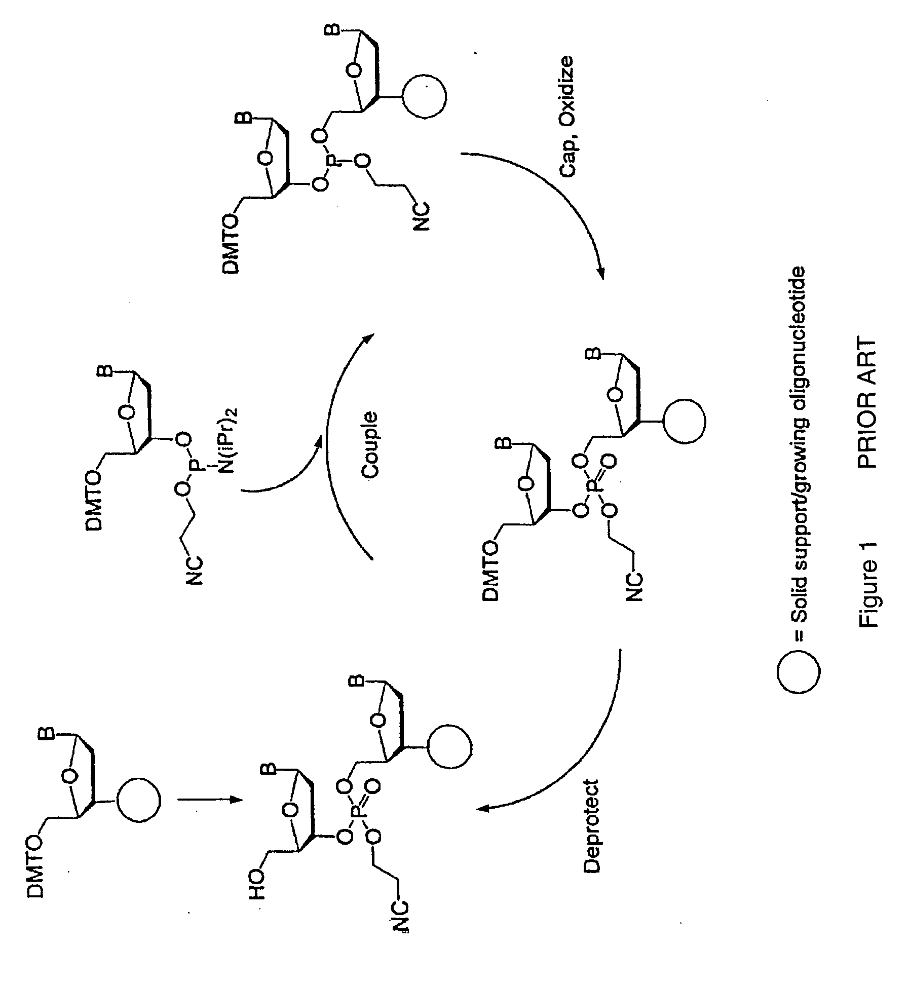 Exocyclic amine triaryl methyl protecting groups in two step polynucleotide synthesis