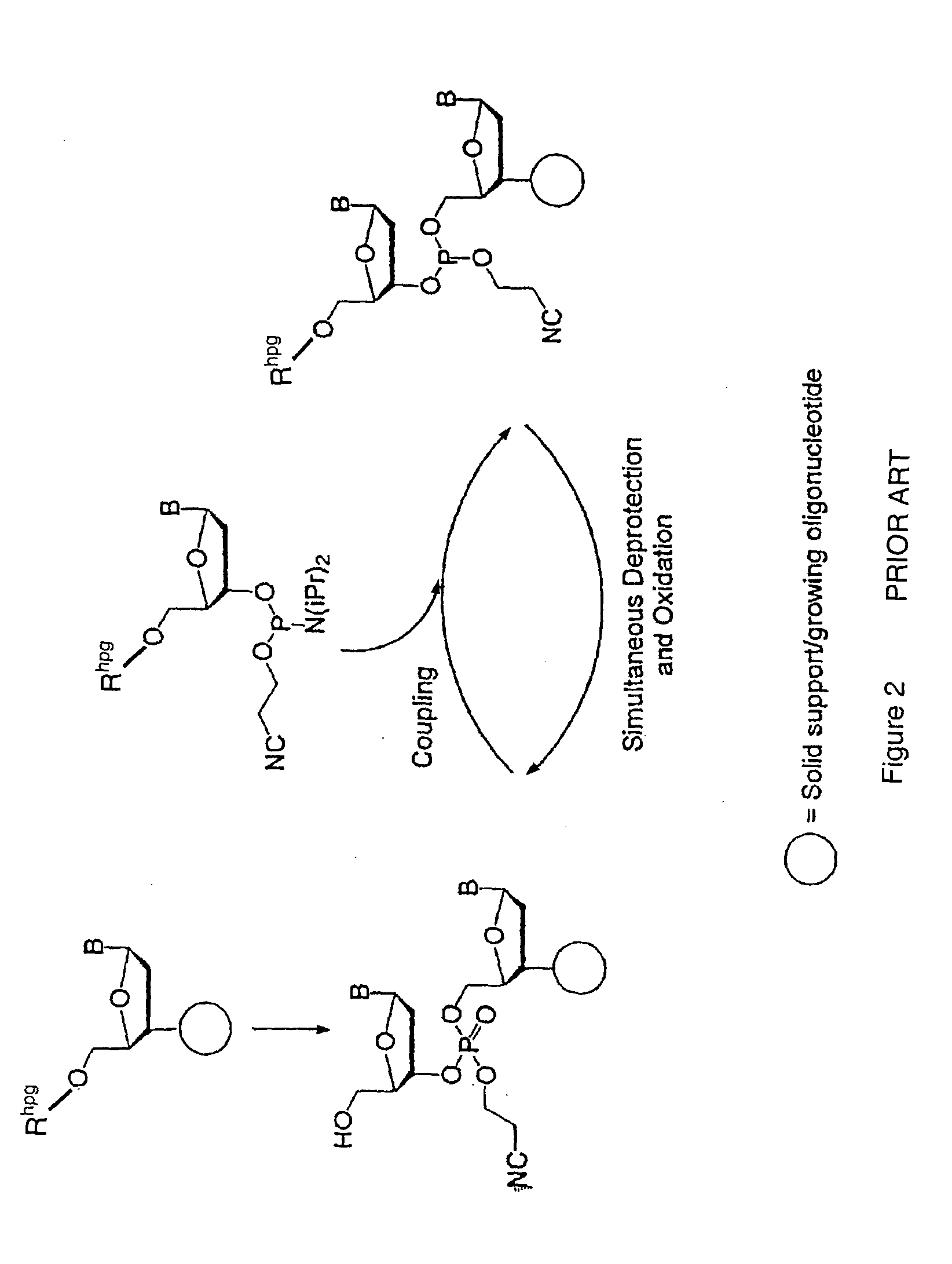 Exocyclic amine triaryl methyl protecting groups in two step polynucleotide synthesis