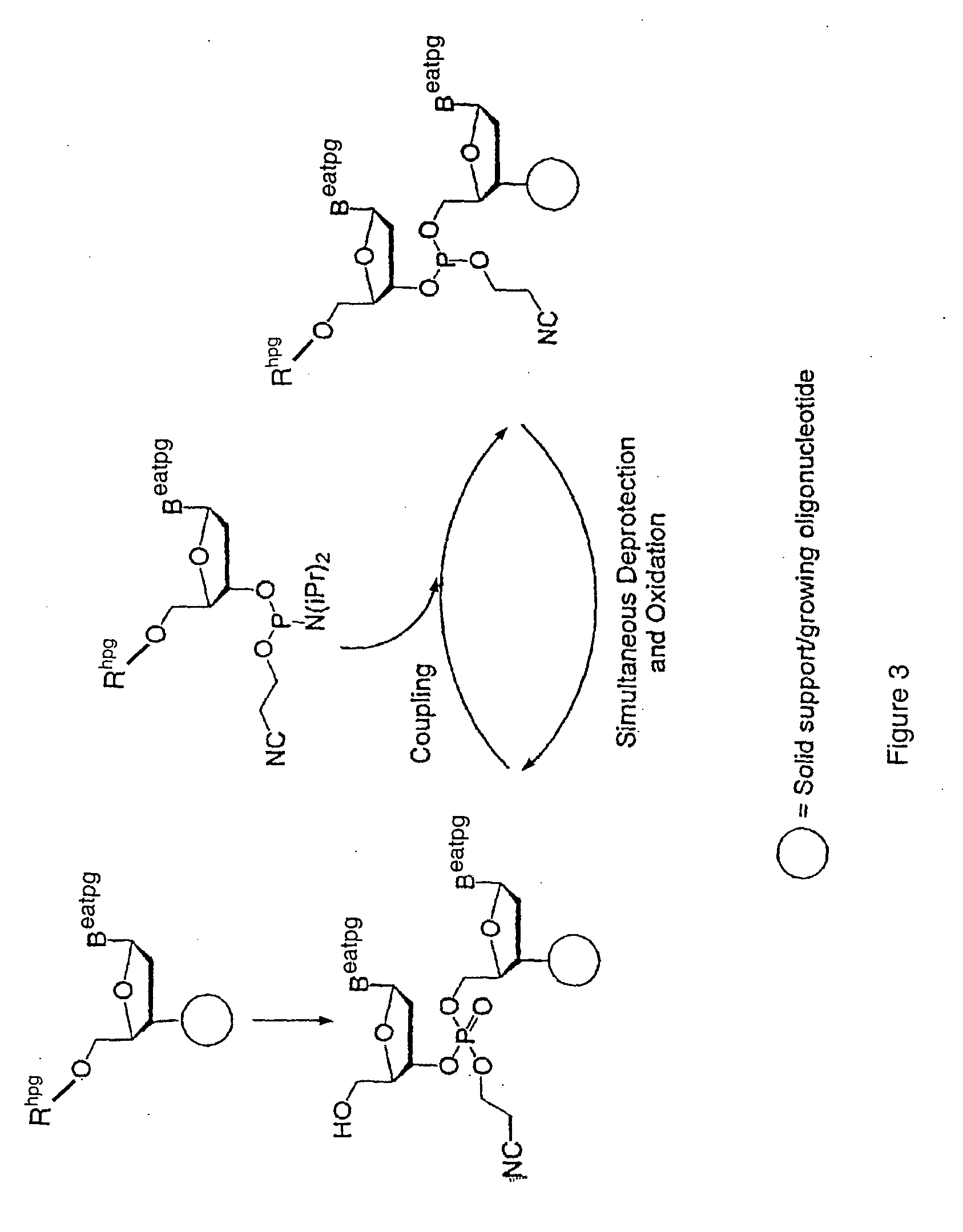 Exocyclic amine triaryl methyl protecting groups in two step polynucleotide synthesis