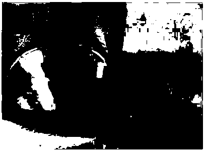 Method for preparing liquid metal nano-particles and method for preparing lithium ion batteries