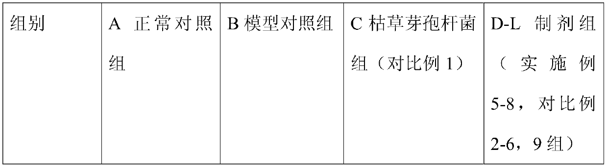 Weight-losing composition containing bacillus subtilis and preparing method and application of weight-losing composition