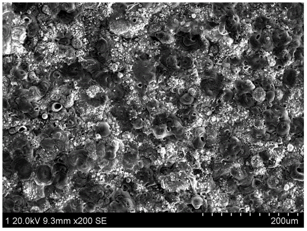 Titanium and titanium alloy surface antioxidant wear-resistant composite coating and manufacturing method thereof