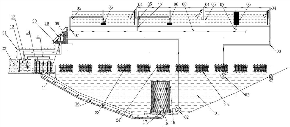 Outer pond shrimp and vegetable symbiotic filtering system technology