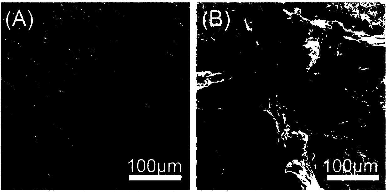 Injectable expanded composite bone cement of bone-imitating trabecula structure and preparation method of injectable expanded composite bone cement