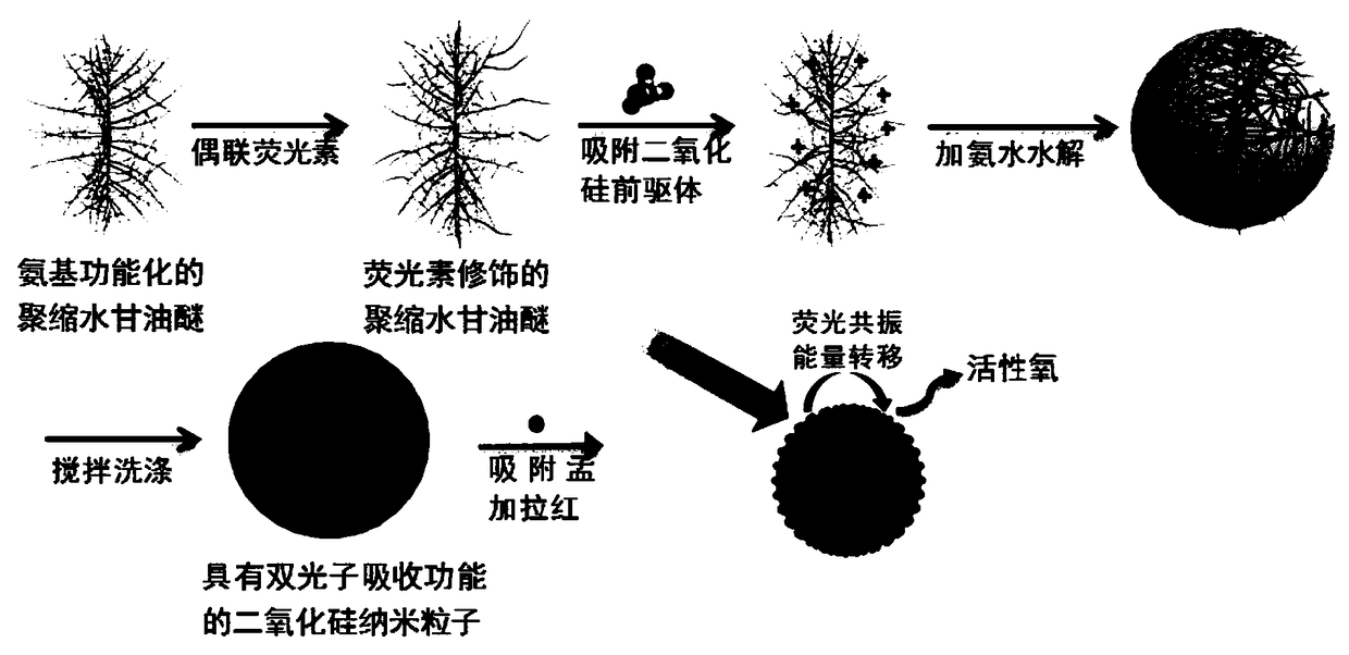 A mesoporous silica nanoparticle with two-photon absorption function and its preparation method and application