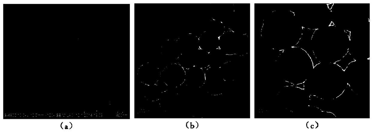 A mesoporous silica nanoparticle with two-photon absorption function and its preparation method and application