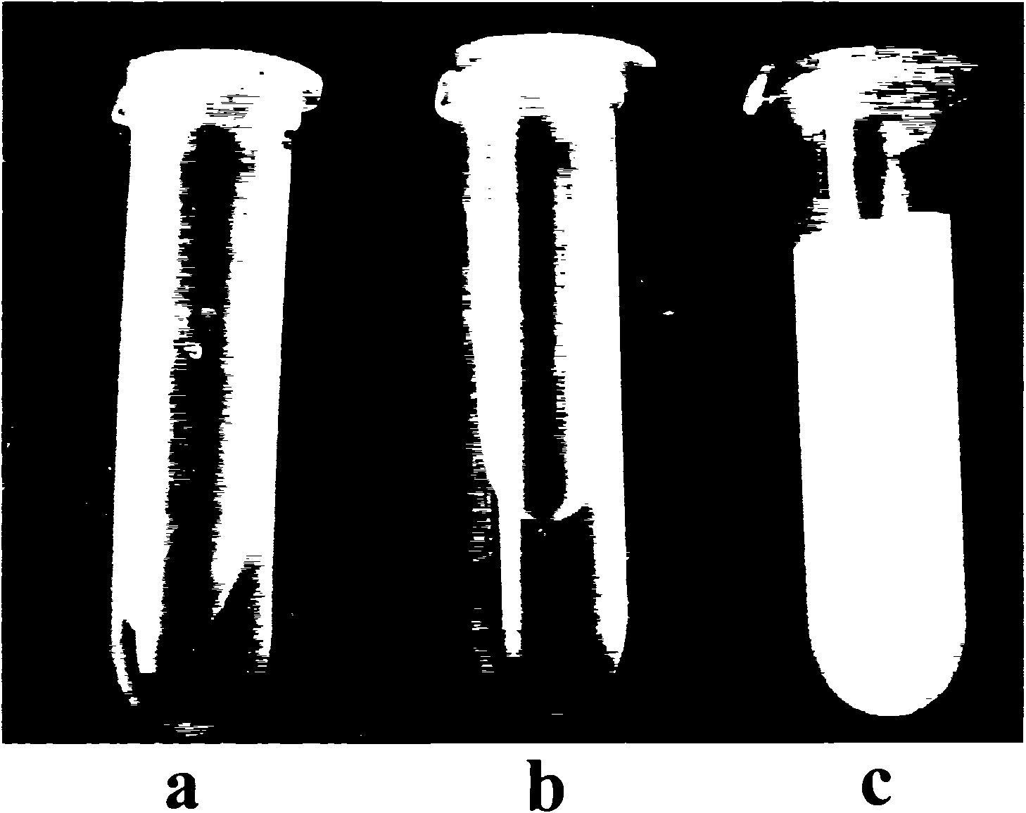 Injection type pH sepsitive chitin quarternary ammonium salt aquagel and its preparation method