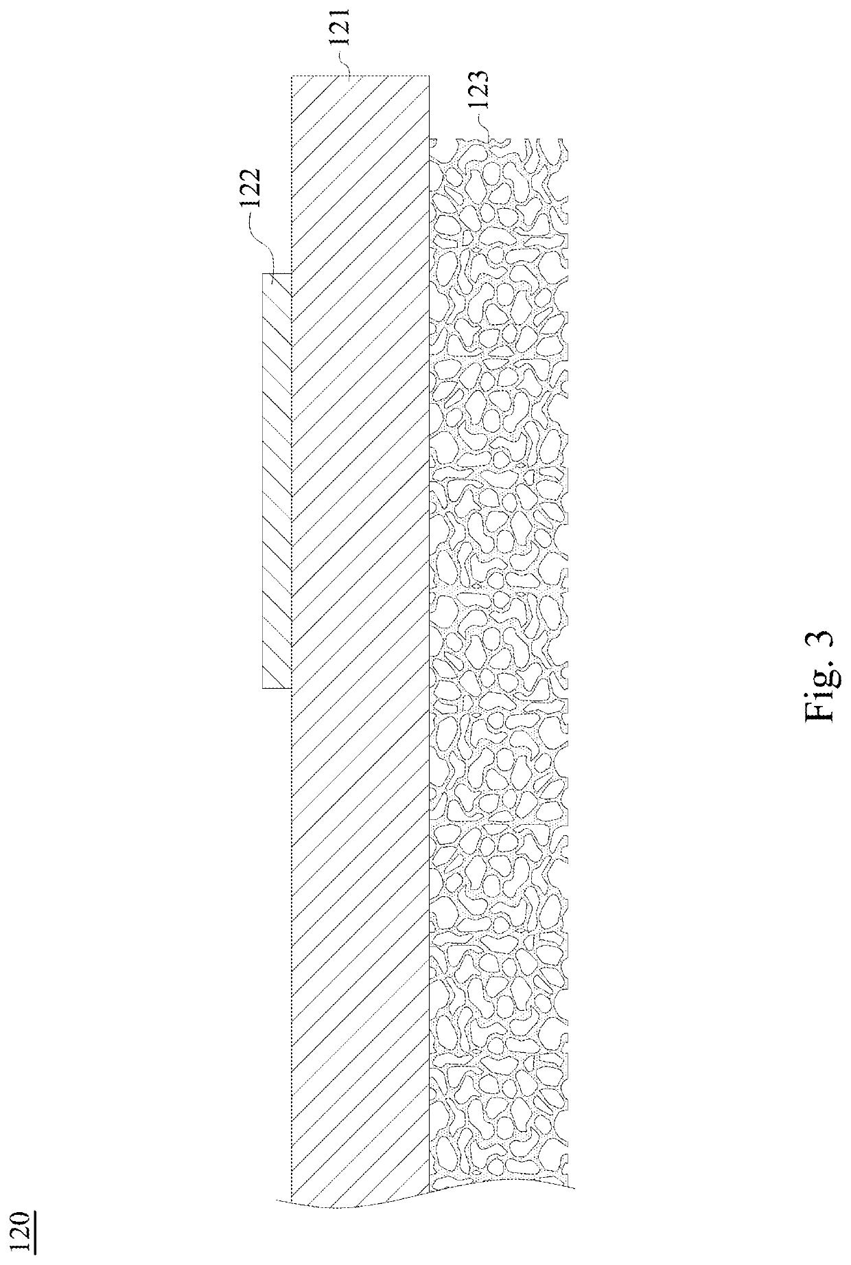 Wavelength conversion member and light source module