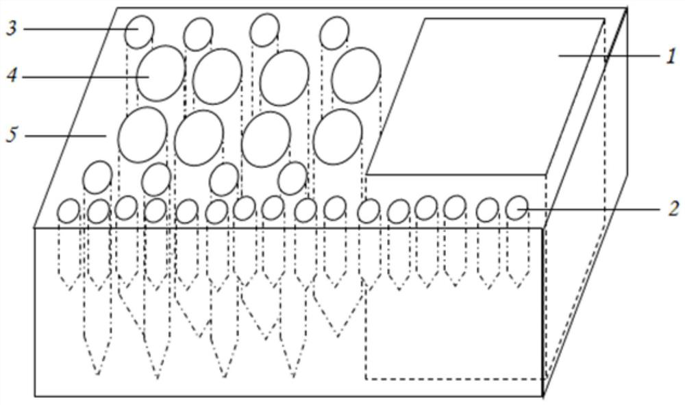 Multi-specification heat preservation centrifugal pipe support for cell culture