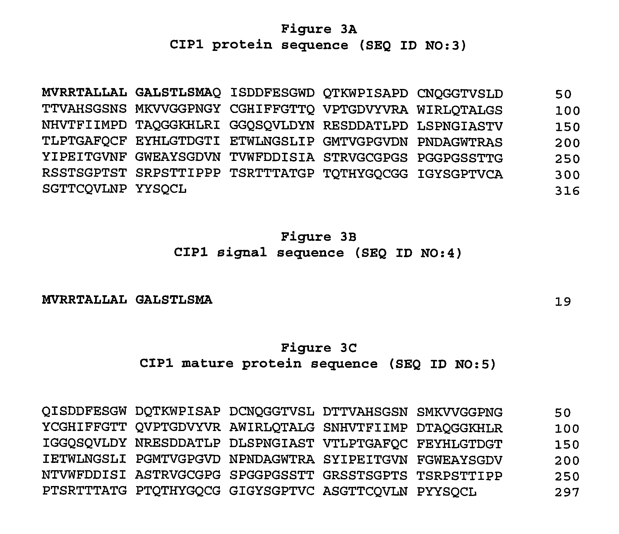 Isolated polypeptide having arabinofuranosidase activity