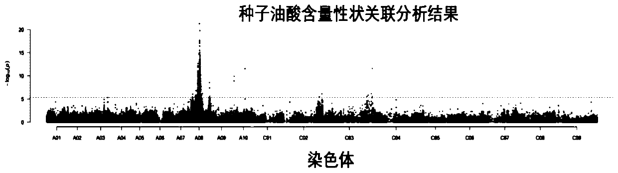 Major QTL site of content of oleic acid of brassica napus seeds, SNP molecular markers and application thereof