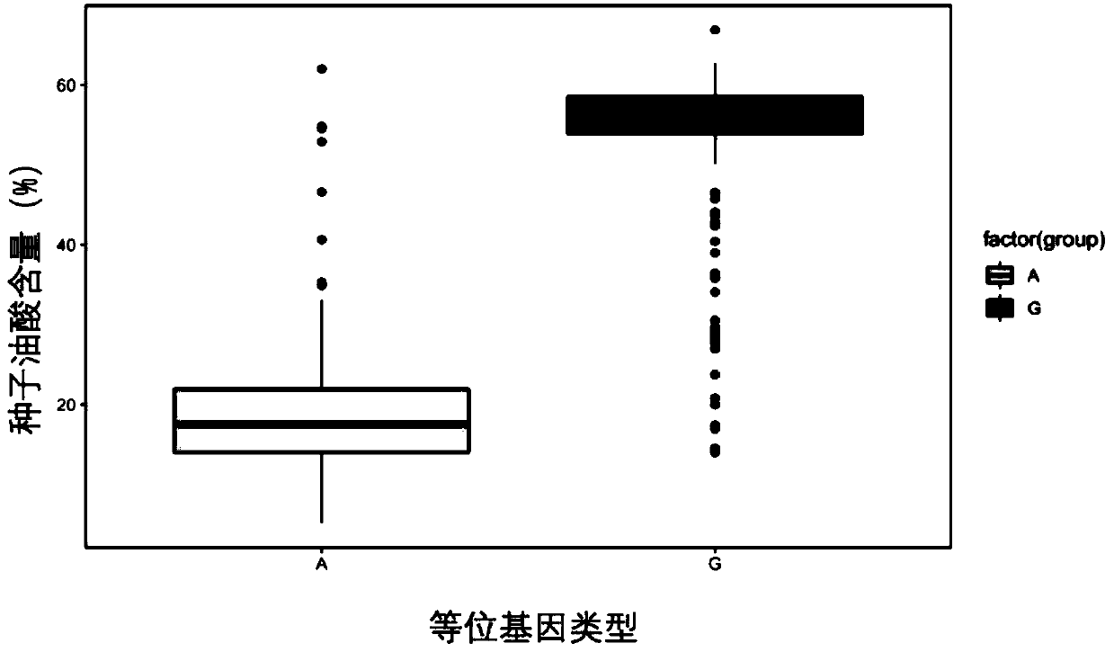 Major QTL site of content of oleic acid of brassica napus seeds, SNP molecular markers and application thereof