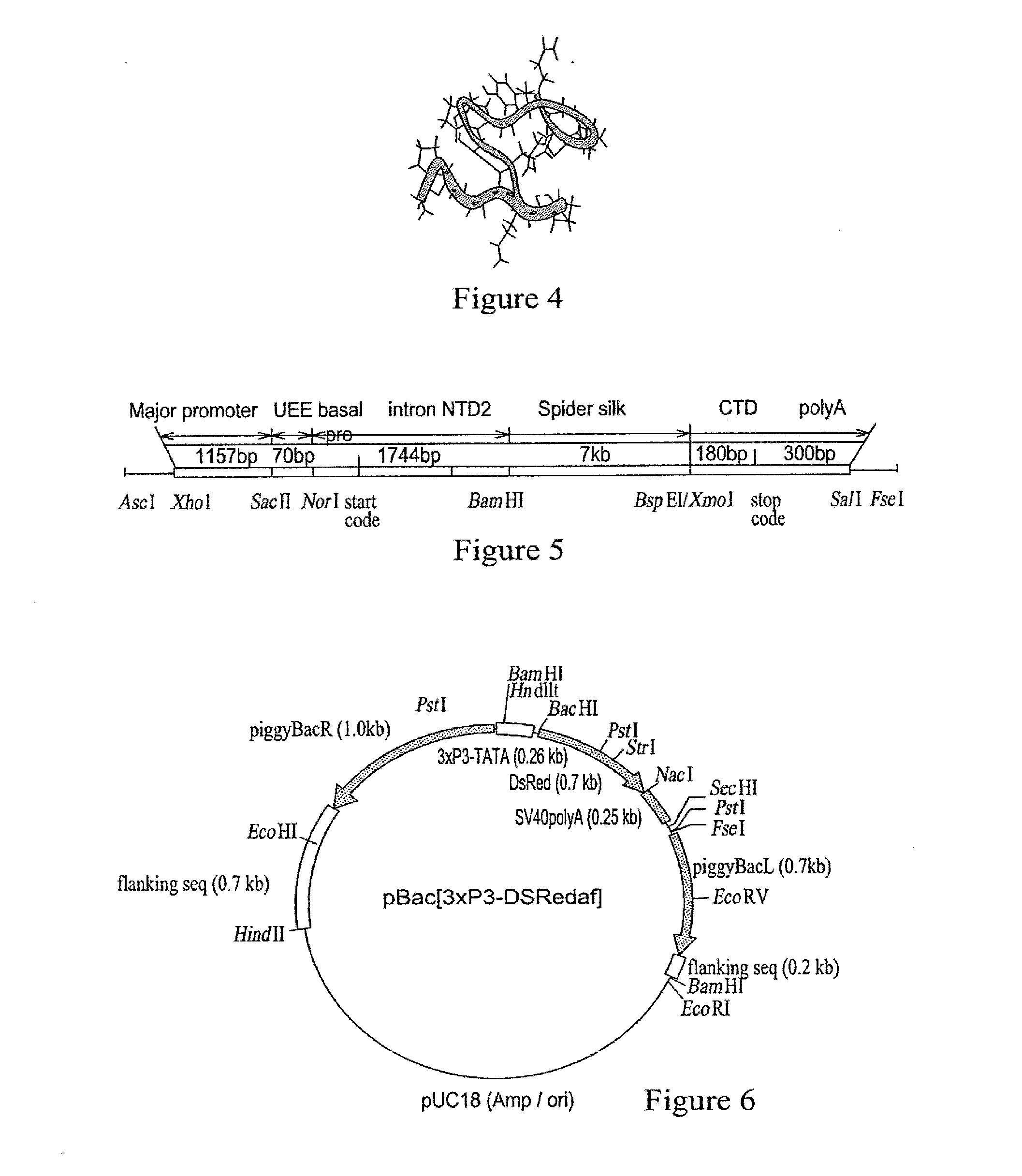 Chimeric spider silk and uses thereof