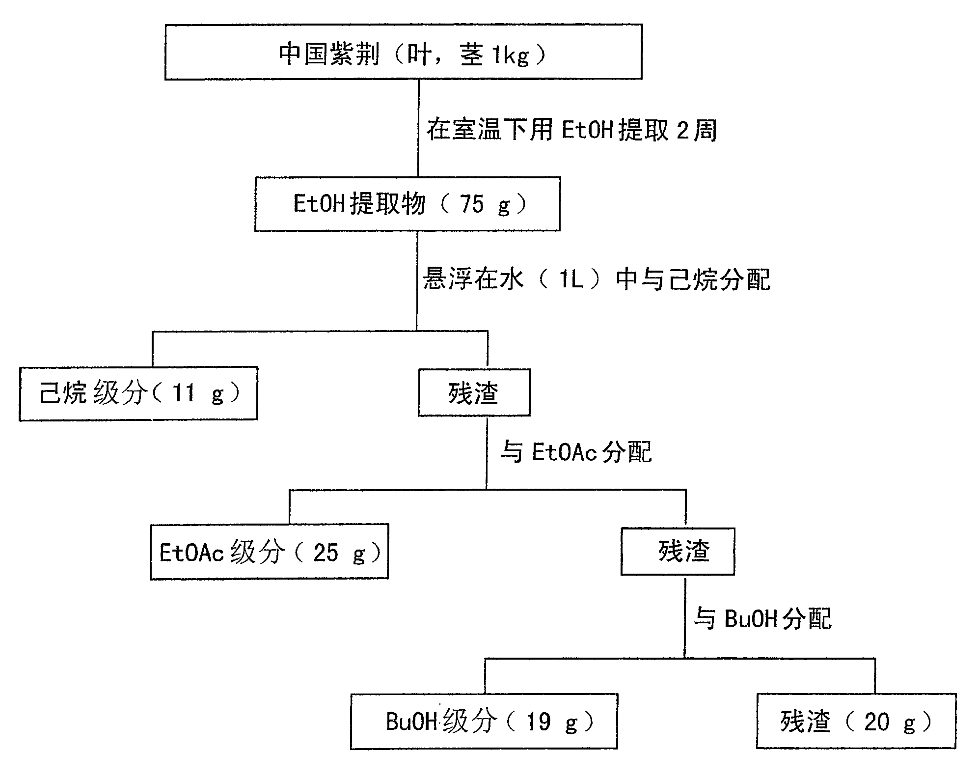 Extract of cercis chinensis having anti-oxidant activity and anti-aging activity, and cosmetic composition containing the extract for anti-oxidation, skin-aging protection and wrinkle improvement