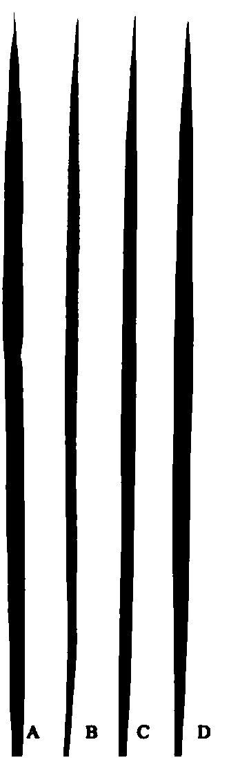 Rice genome recombinant nucleic acid fragment RecCR012070 and detection method thereof