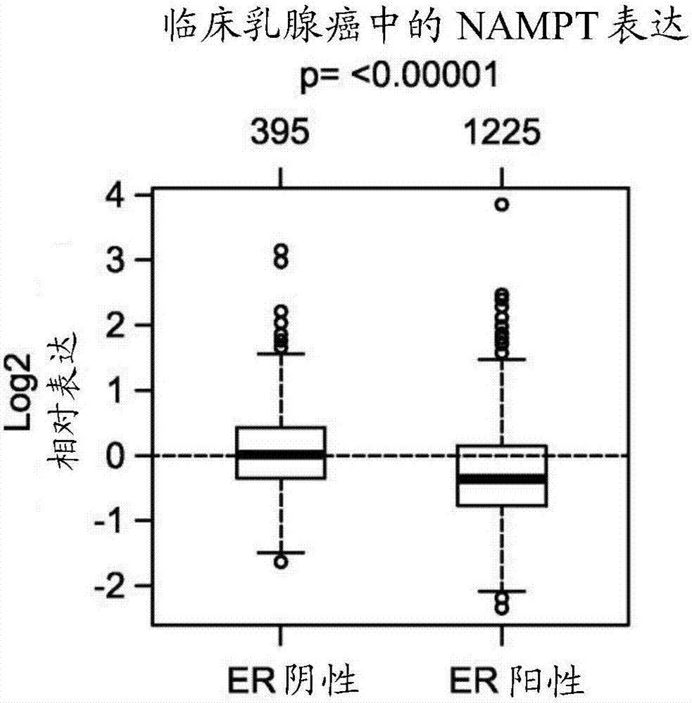 Methods and compositions for enhancing cancer therapy